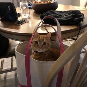 Meet your Posher, Taylor